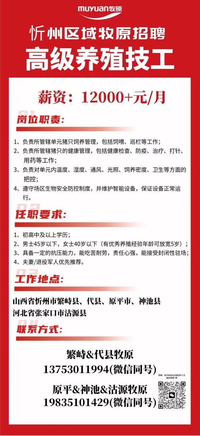 招聘信息发布_招聘信息_招聘信息最新招聘2024