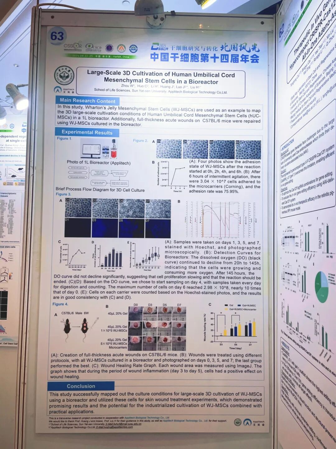 【會議資訊】中國干細(xì)胞第十四屆年會圓滿落幕，明年山城再會！