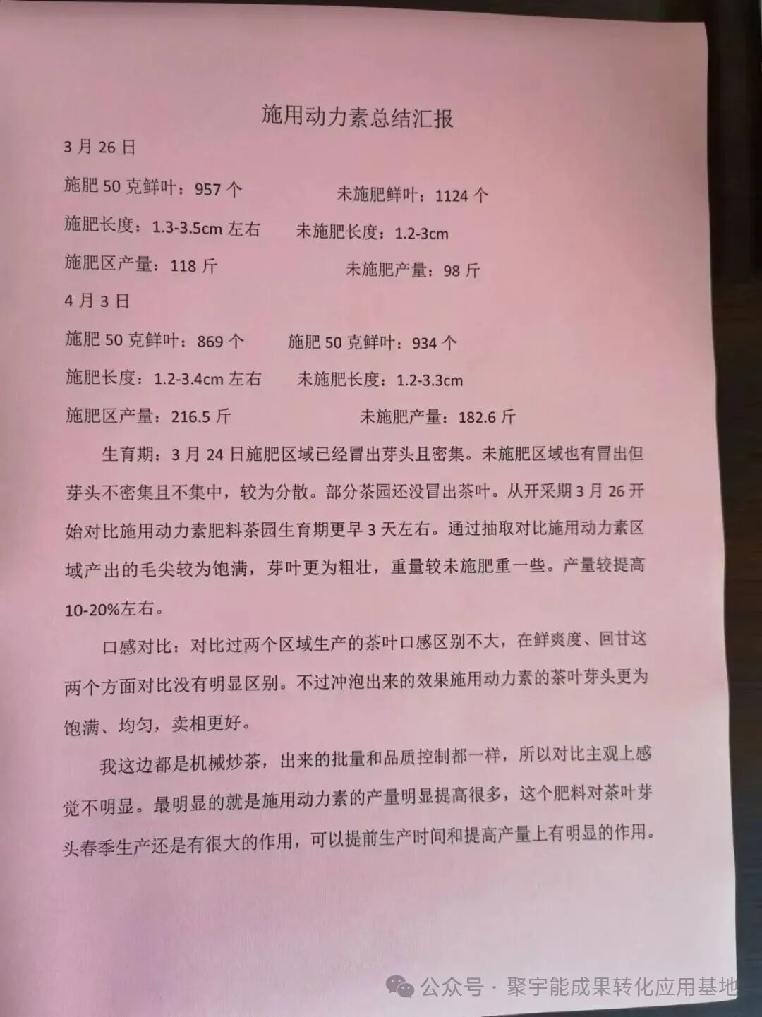 惊艳！聚宇能农用生态动力素赋能茶叶种植，品质增产双丰收！(图9)