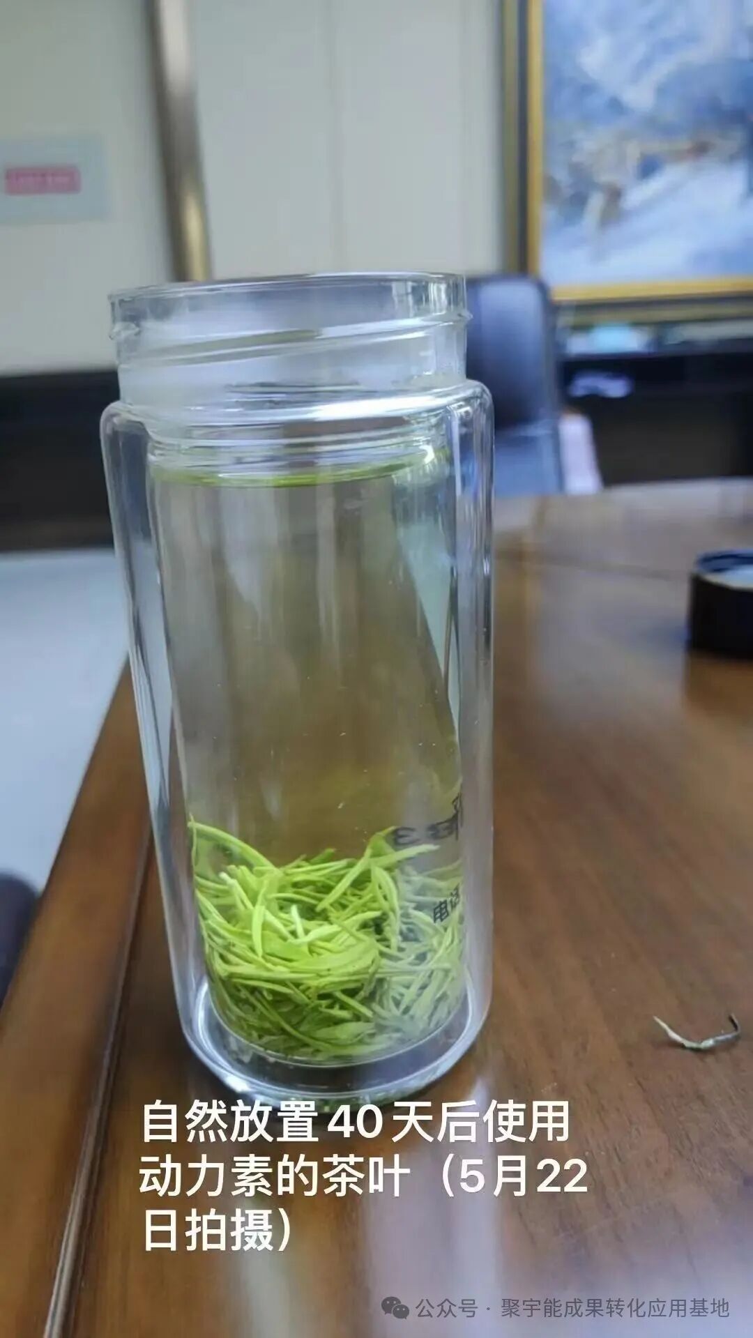 惊艳！聚宇能农用生态动力素赋能茶叶种植，品质增产双丰收！(图8)