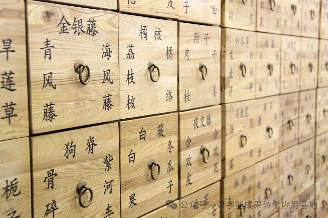 从元素到气，农产品如何“回归本味”？土壤生命动力元素成提升品质关键(图2)