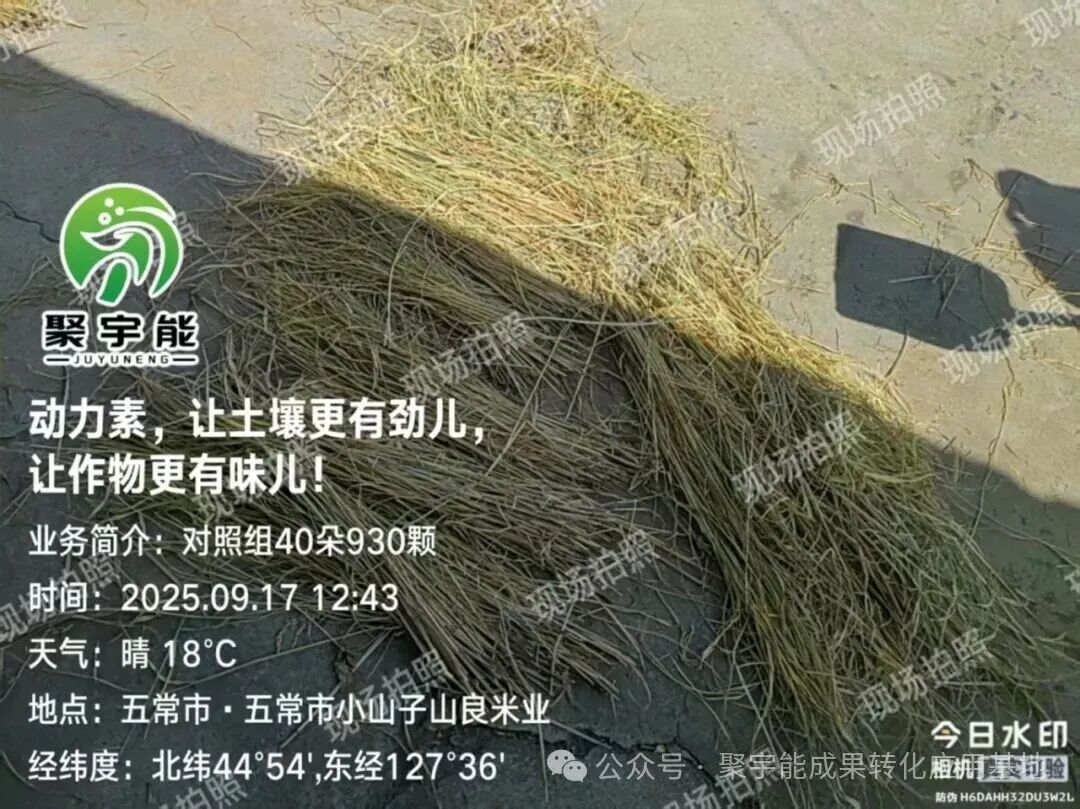 聚宇能动力素赋能五常稻花香(图2)