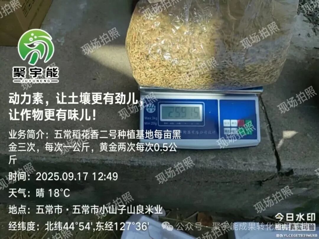 聚宇能动力素赋能五常稻花香(图3)