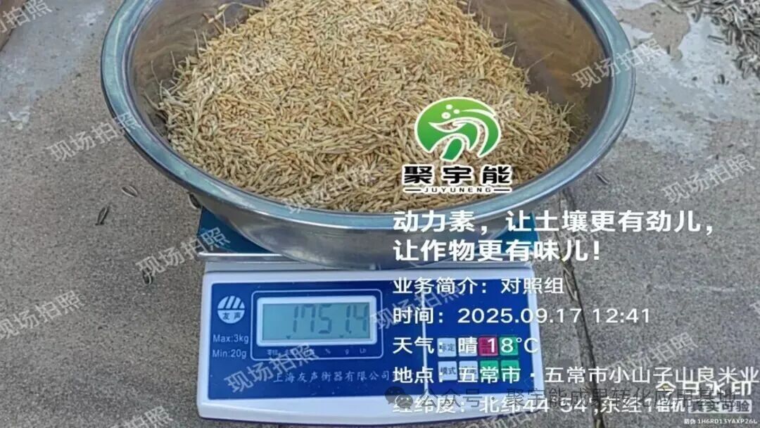 聚宇能动力素赋能五常稻花香(图4)
