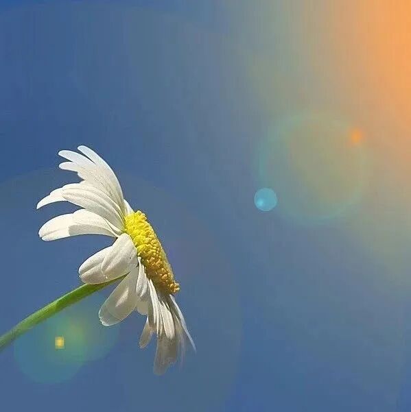 3月7日清晨一段最美心语 早安心语最新一句话 微信公众号文章 微小领