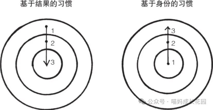 竹子成长过程