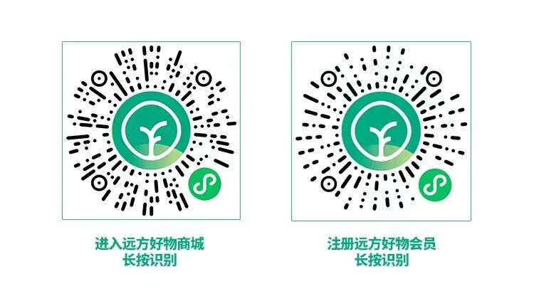 当下与未来：远方好物的商业模式分析与展望 (17).jpg