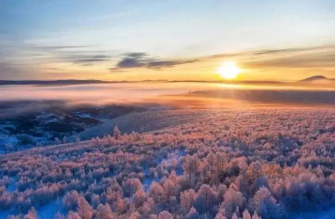 微信图片_20250624092403