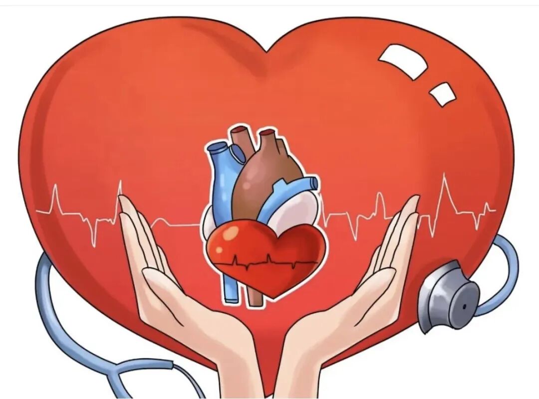 心肌三合一是什么南喃有声·检验知不知丨冬春交替警惕心梗_https://www.jmylbn.com_新闻资讯_第2张