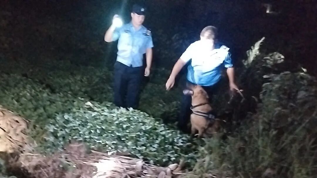 夏季行動(dòng)丨深山尋人、滅火救援...開(kāi)州公安護(hù)民平安