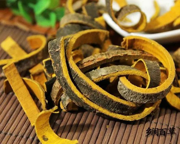 黄柏的功效与作用及禁忌 黄柏的食用方法 黄柏不能和什么一起吃