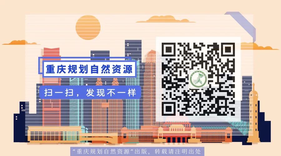 重庆市南岸区土地管理法