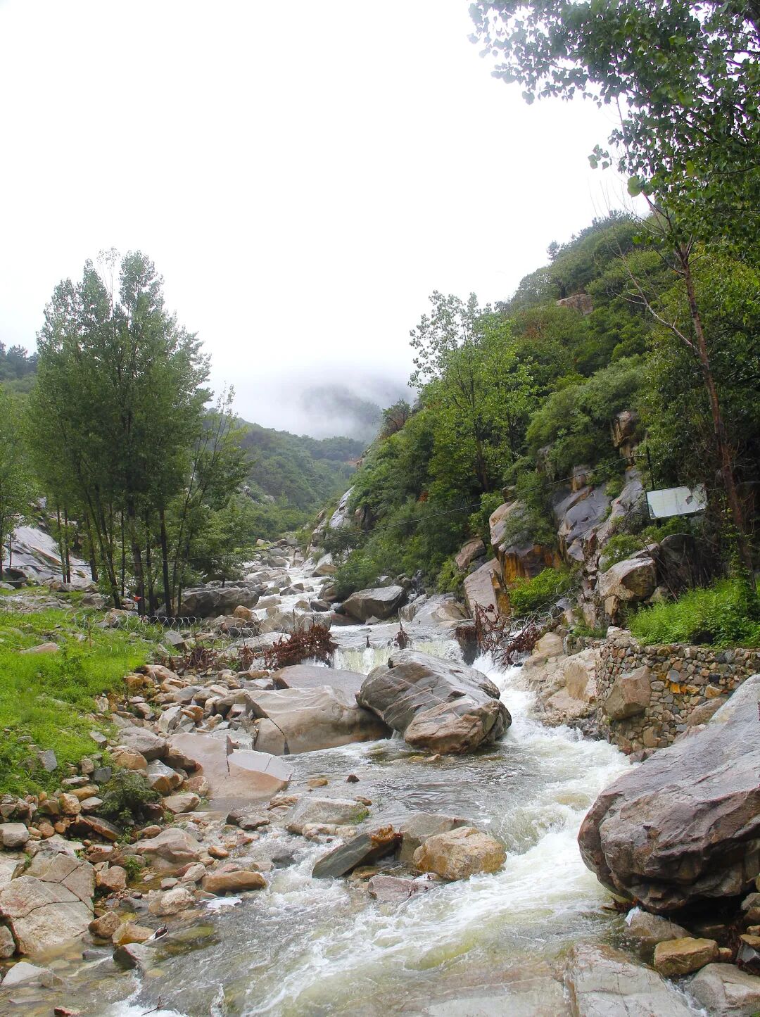雾隐翠峰间 魅力大津口