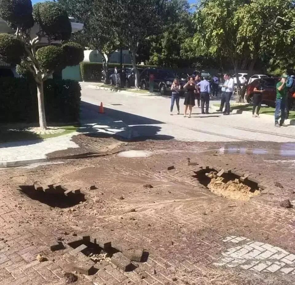 鲜花天降的法缘 自由微信 Freewechat