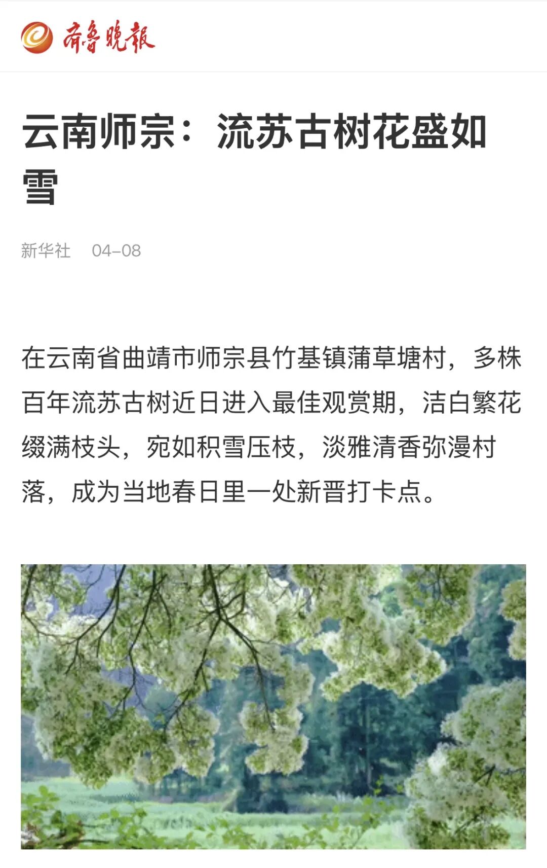 d3a3b4c5d368822bcdedb30f25ab3d77.jpg