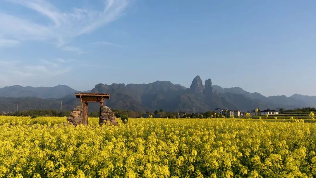 △江郎山。图片来源/江山传媒集团