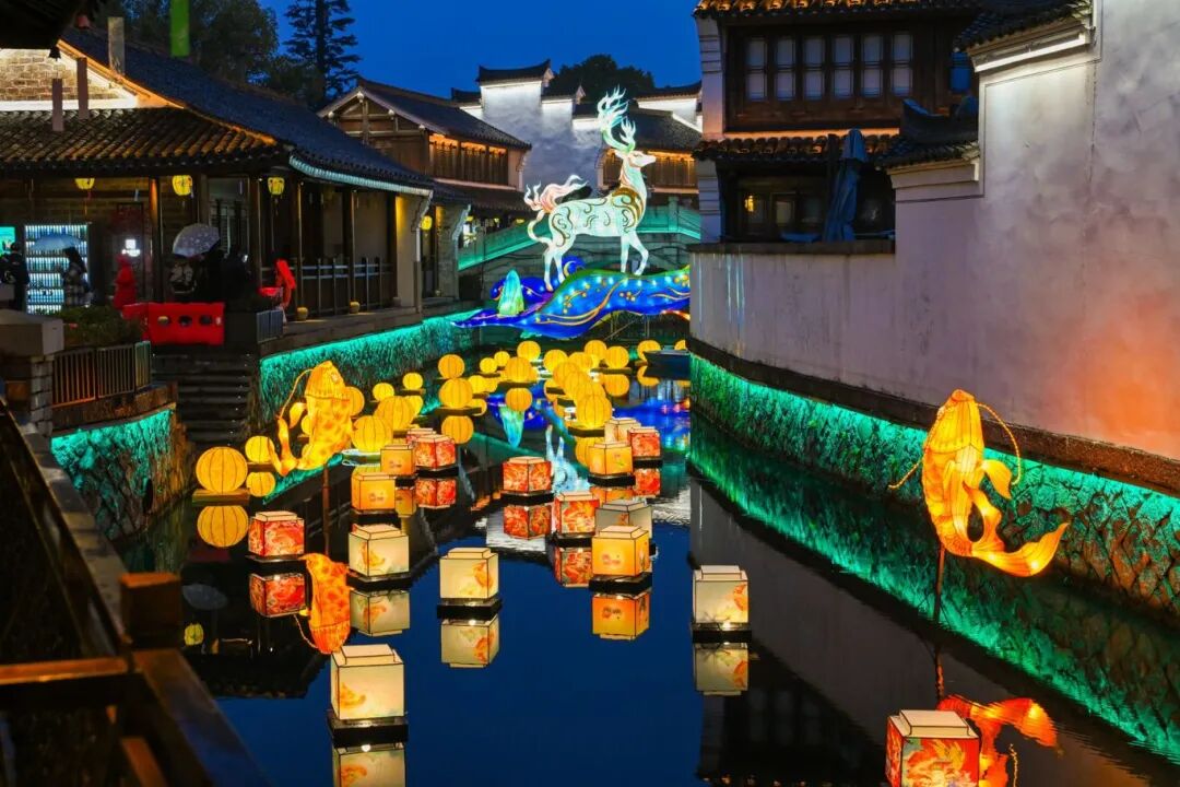 龘龘春来宁波江北之行