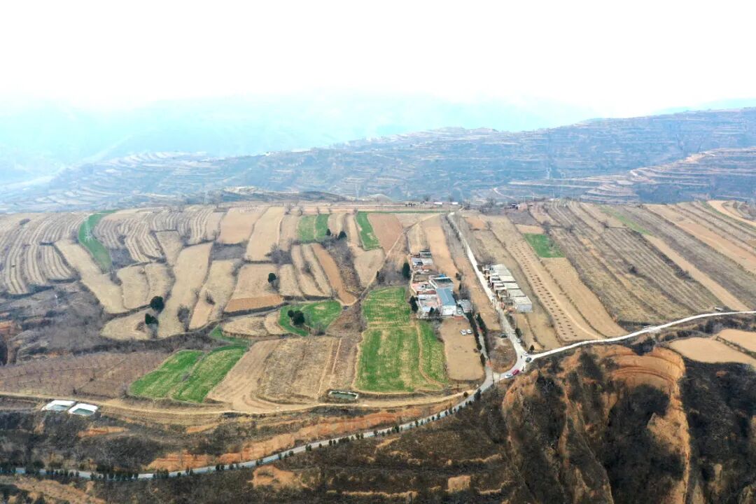 寿年神泉投资人张宾携亲回馈桑梓，凝聚乡情共筑未来！