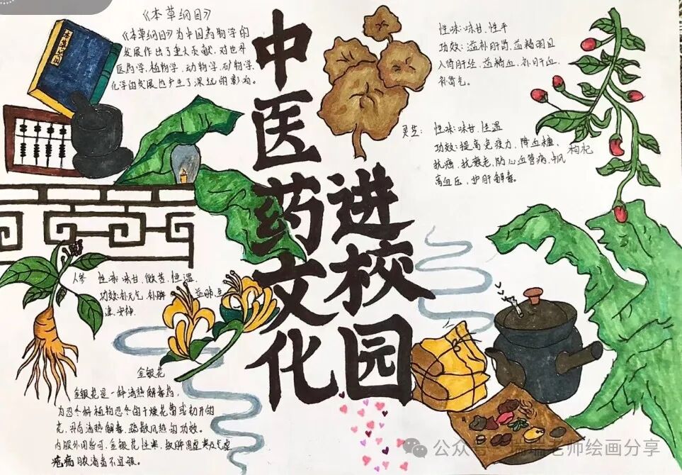 弘扬中医中药手抄报线稿和色稿#传承中医药文化