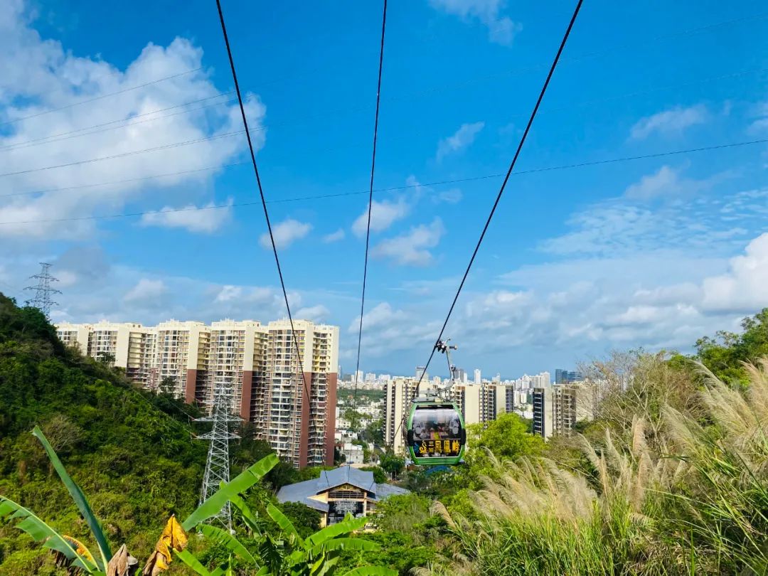 景區公示-三亞鳳凰嶺海誓山盟景區_三亞旅遊_景區_景點_哪好玩