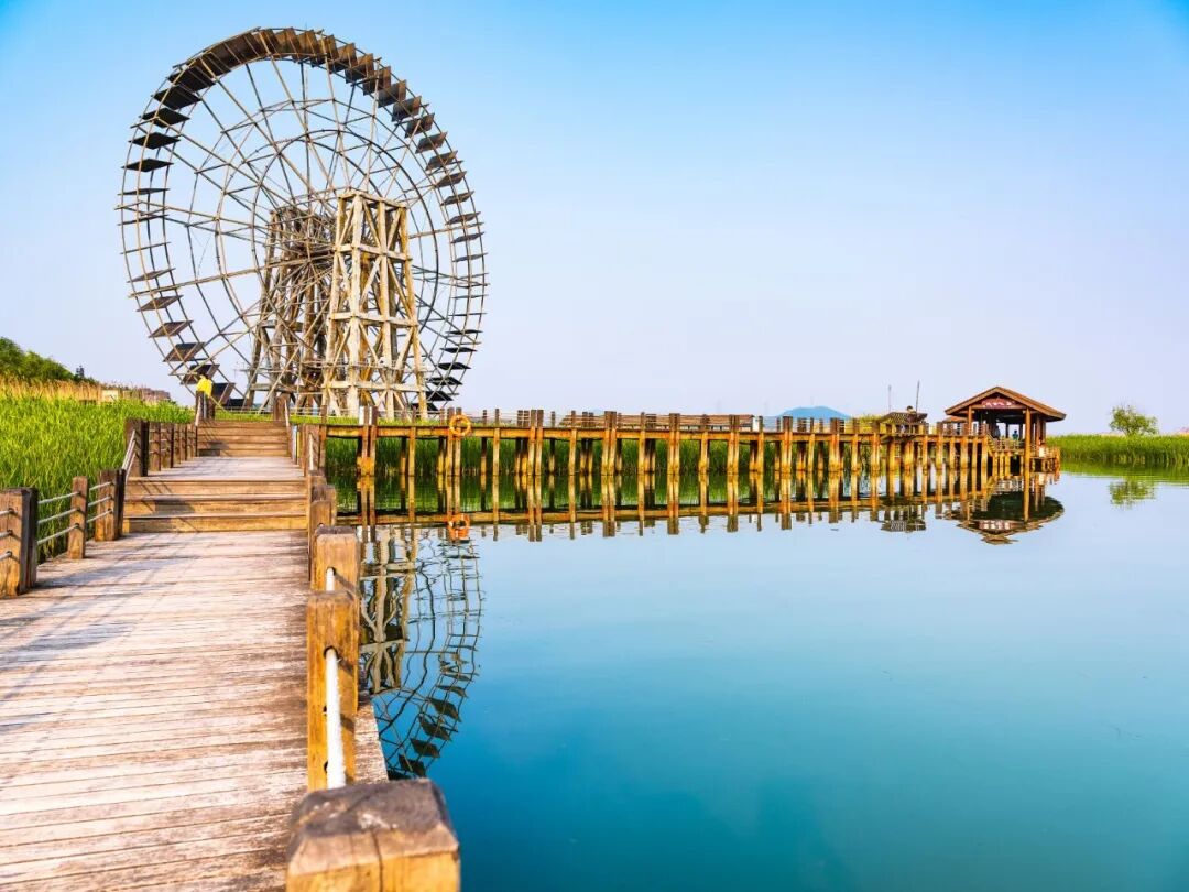 2025苏州太湖湖滨国家湿地公园-旅游攻略-门票-地址-问答-游记点评，苏州旅游旅游景点推荐-去哪儿攻略