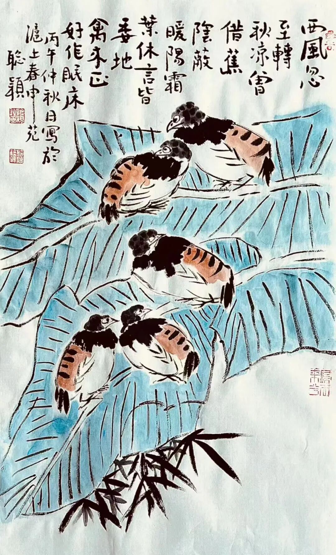 图片