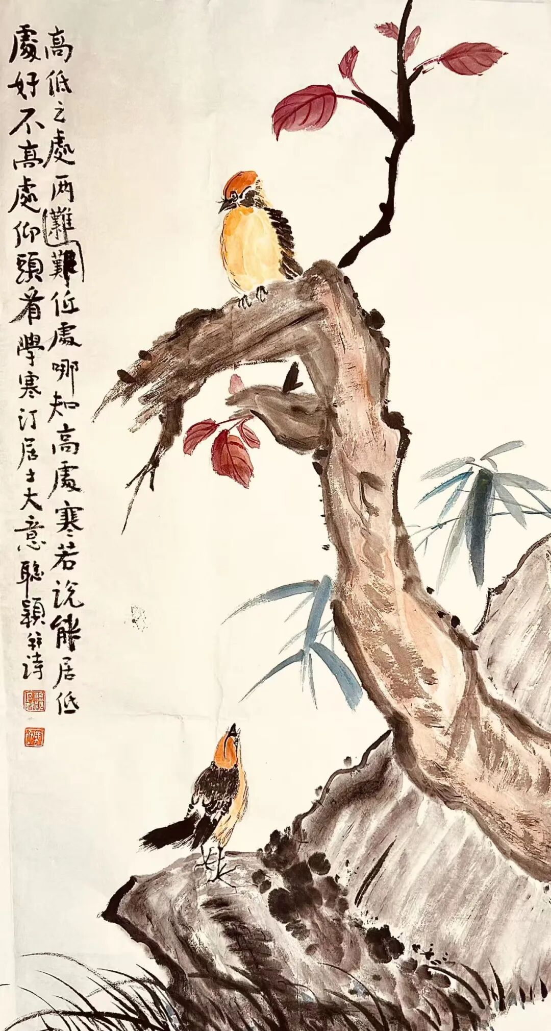 图片