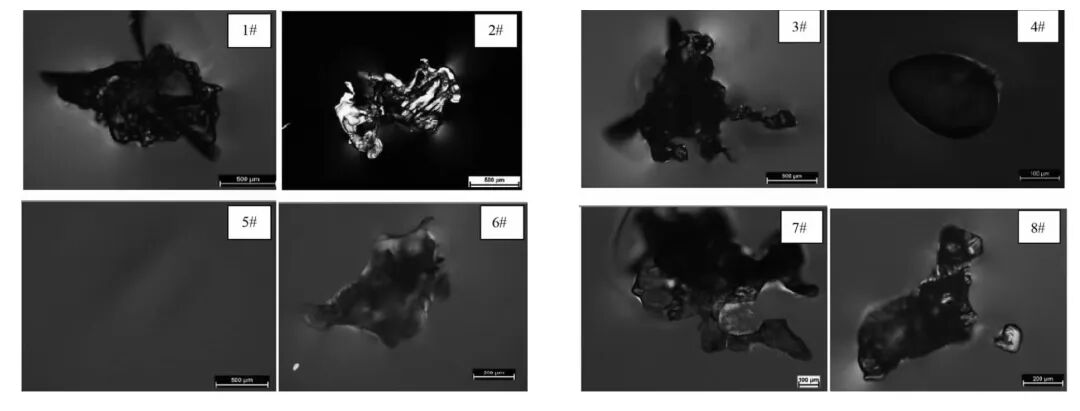 今晚必开生肖图特马