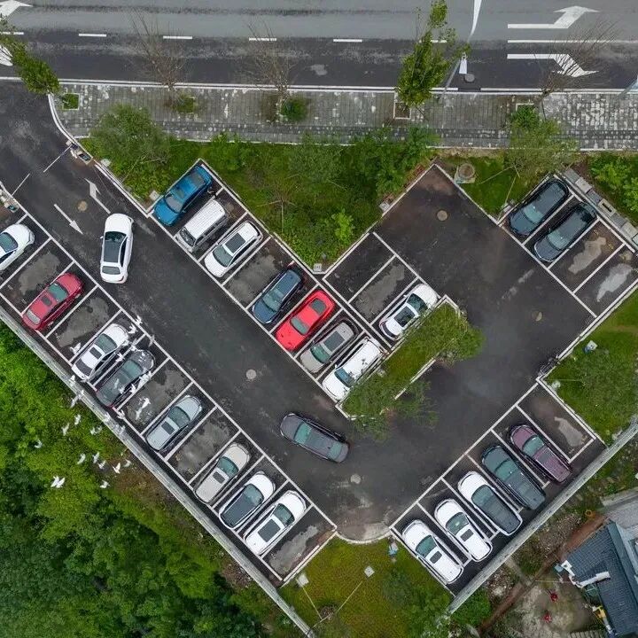 重慶藝術高中學校_重慶藝術類高中_重慶藝術高中排名榜