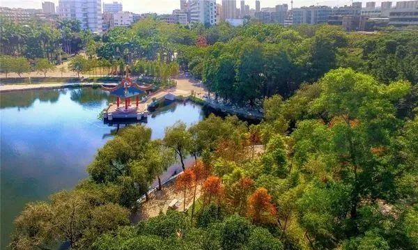 東海岸津灣公園是該新城首座大型公園;去年在海明公園,就有