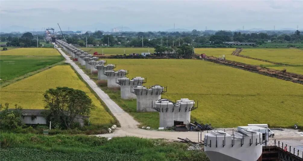 潮汕韩江特大桥成排的墩身。