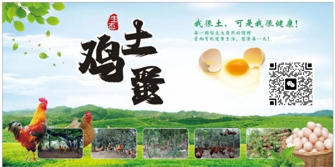 北京招聘私人伴游_北京伴游招聘_北京私人伴游招聘