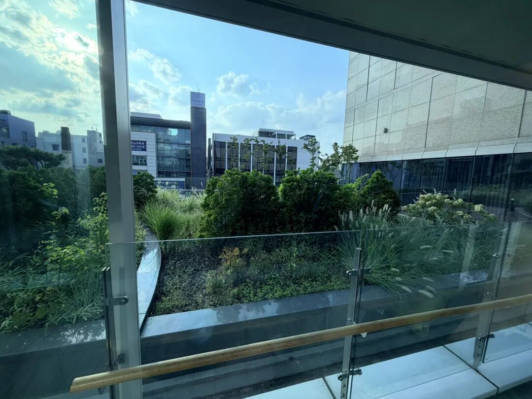首尔江南安达仕酒店探店：Hyatt Prive预订待遇与隐藏福利解析
