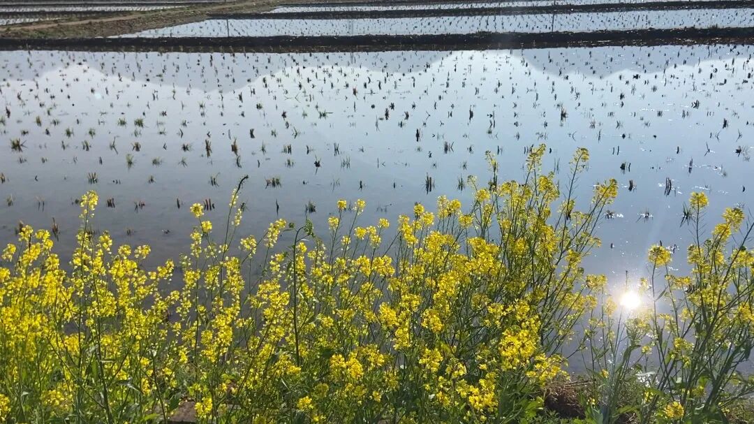 2月26日 (1)(4).jpg