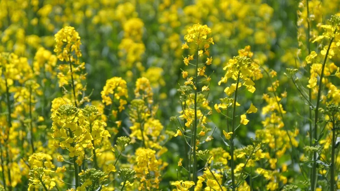 2月26日 (1)(3).jpg