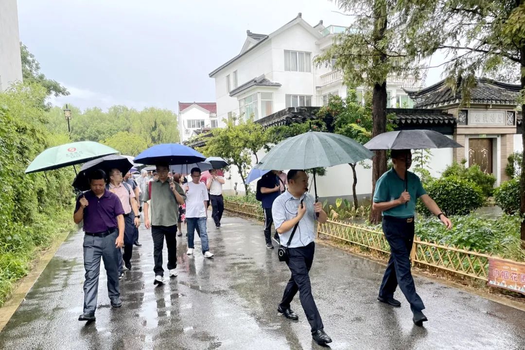 借鉴发达国家政府干预经验_借鉴优质村庄规划经验分享_长三角经济区发展经验借鉴