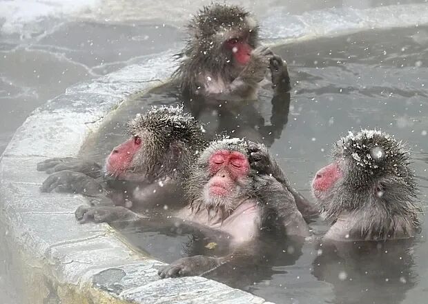 澳元兑人民币汇率达5年新高！专家：现在赴华旅游性价比极高（组图） - 2