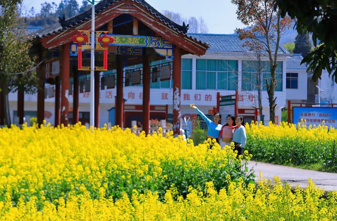 竹溪县2024年最美赏花季 暨"竹溪四季"全国摄影大赛即将精彩启幕 - 文