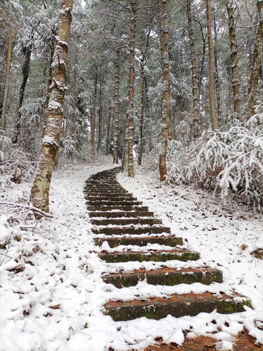 义乌上溪大草坪下雪图片