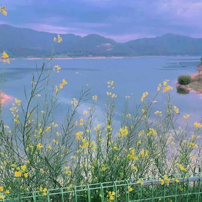 50张非常好看的微信朋友圈封面背景图片大全 都是你想要的!