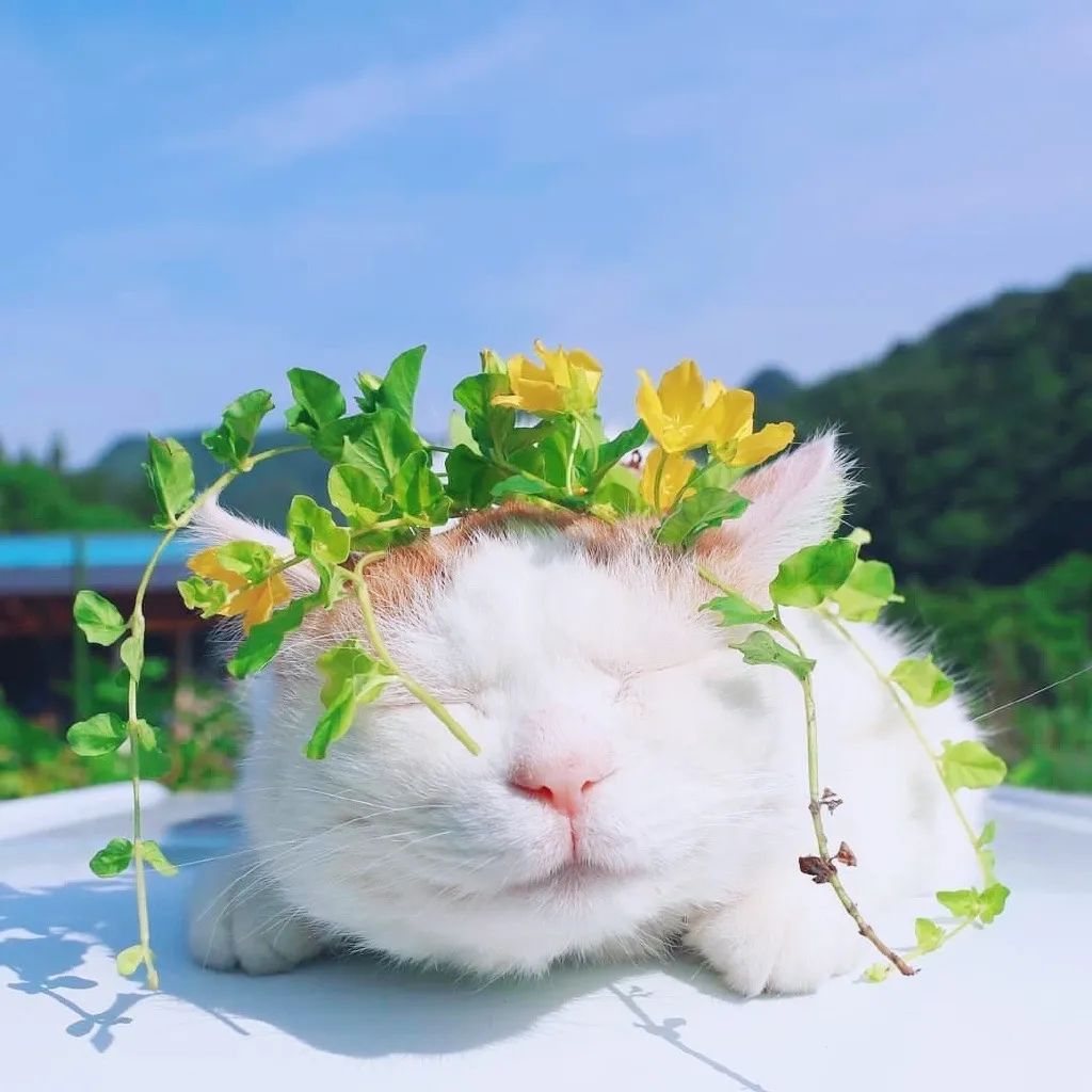 36张微信朋友圈个性封面背景图片下载 让来看你朋友圈的人眼前一亮!