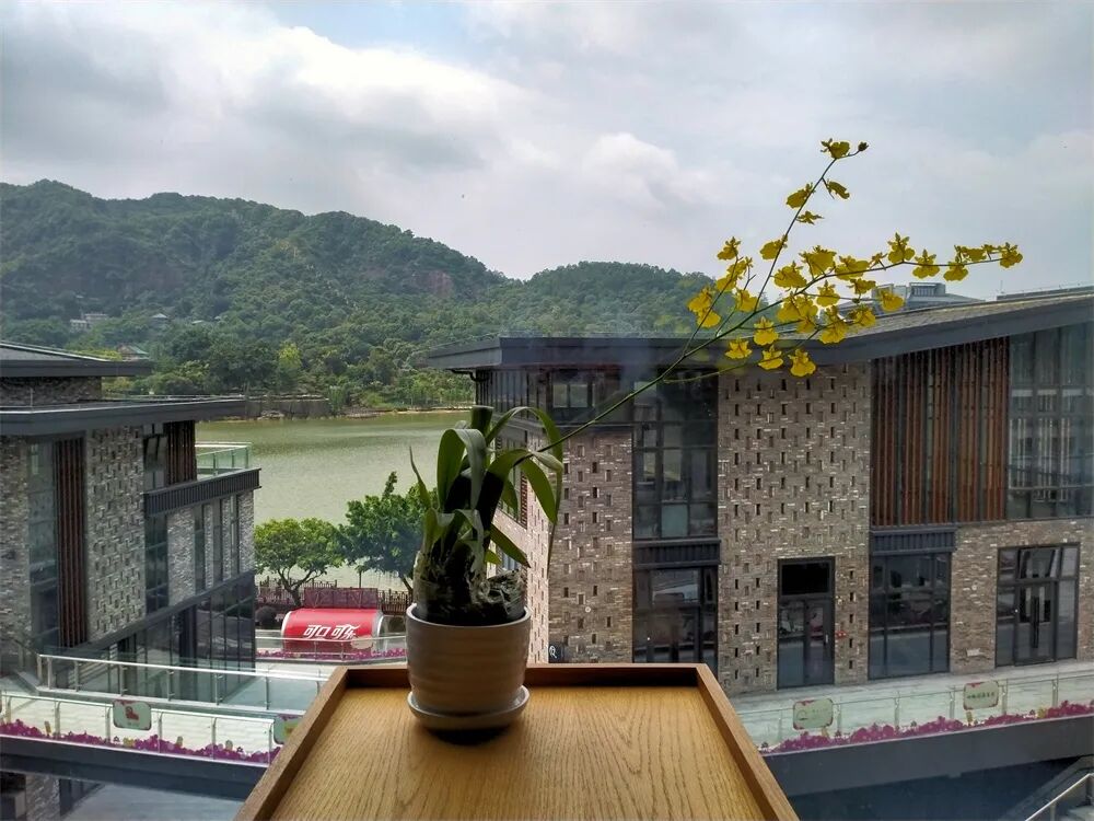 ����ɽ�����������ϣ�399ס���������԰����+˫�����+����ɽ/����Ӱ�ӳ���Ʊ���ɴ�����