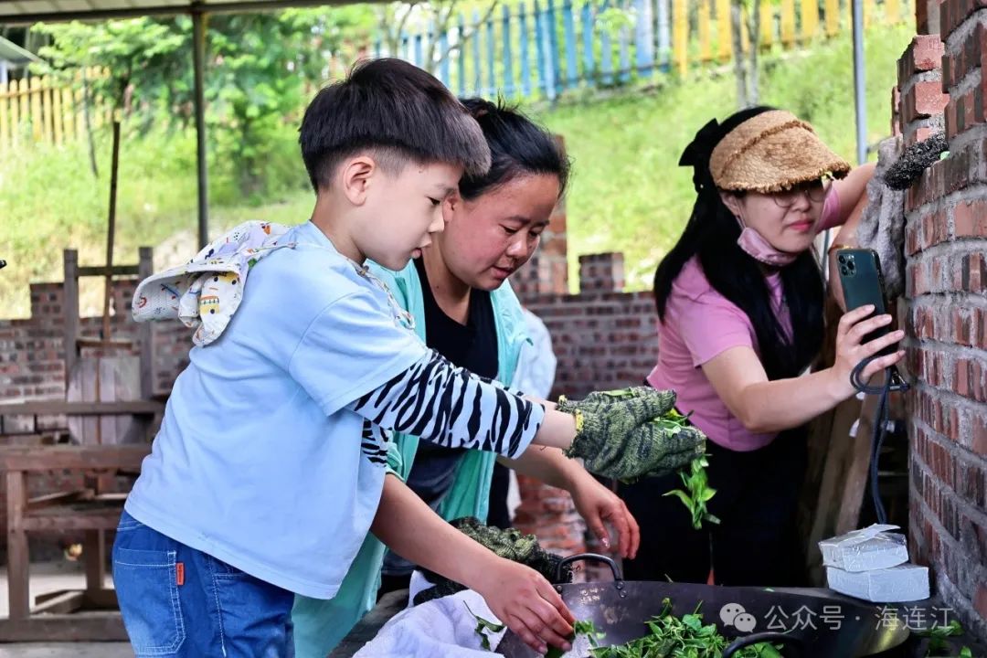解锁连江新玩法！萌娃秒变“小茶农”
