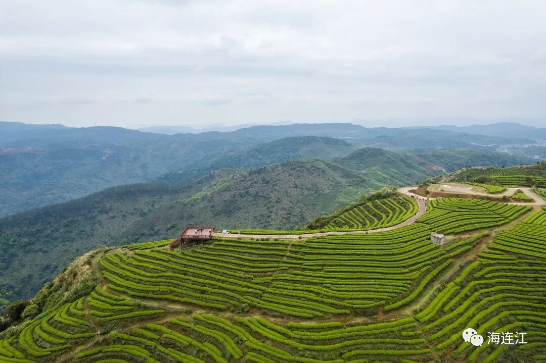 年均温16.7℃！连江这里藏不住啦！