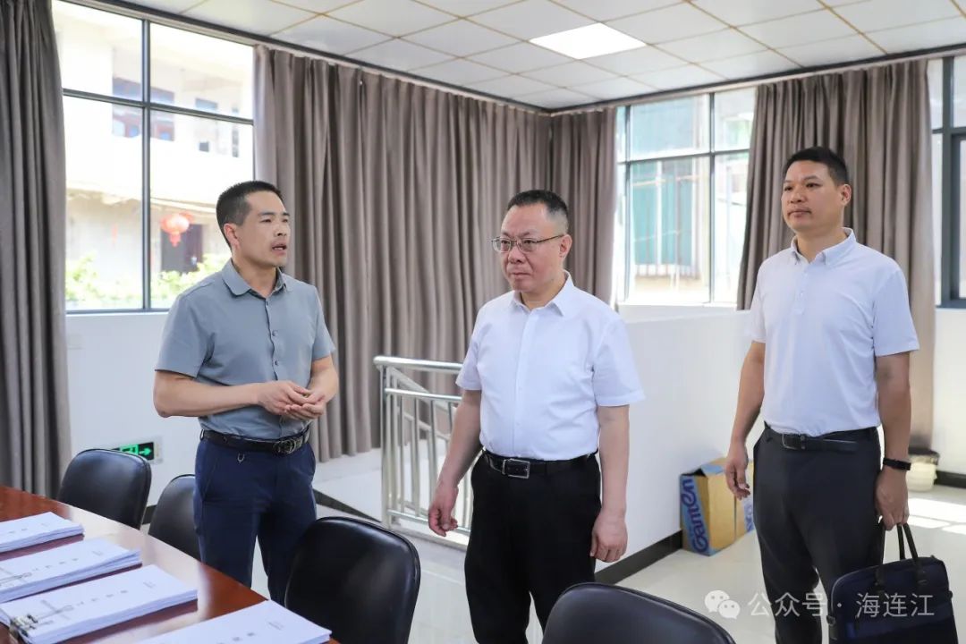 今天，县委书记赴潘渡镇、江南镇调研基层党建工作