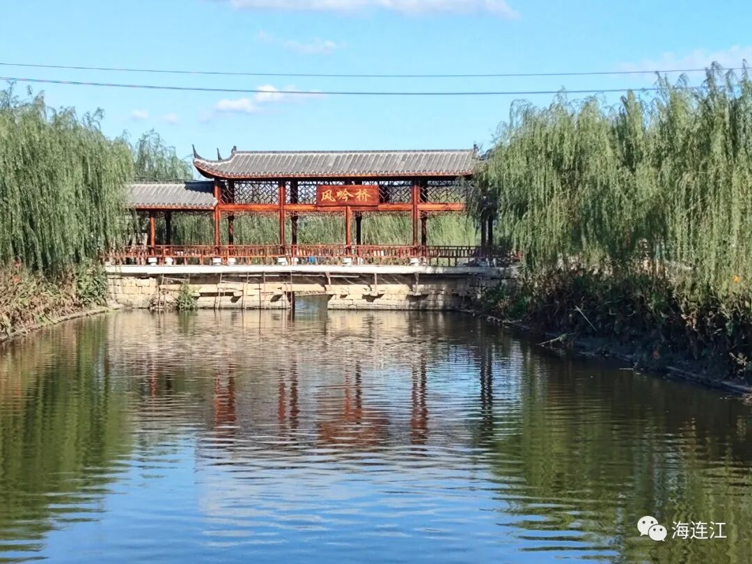 优雅！灵动！他们为生态连江代言