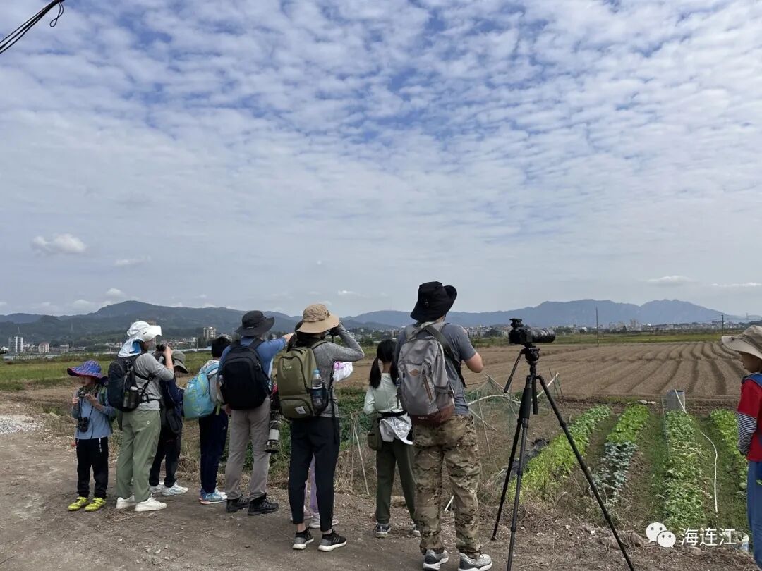 优雅！灵动！他们为生态连江代言