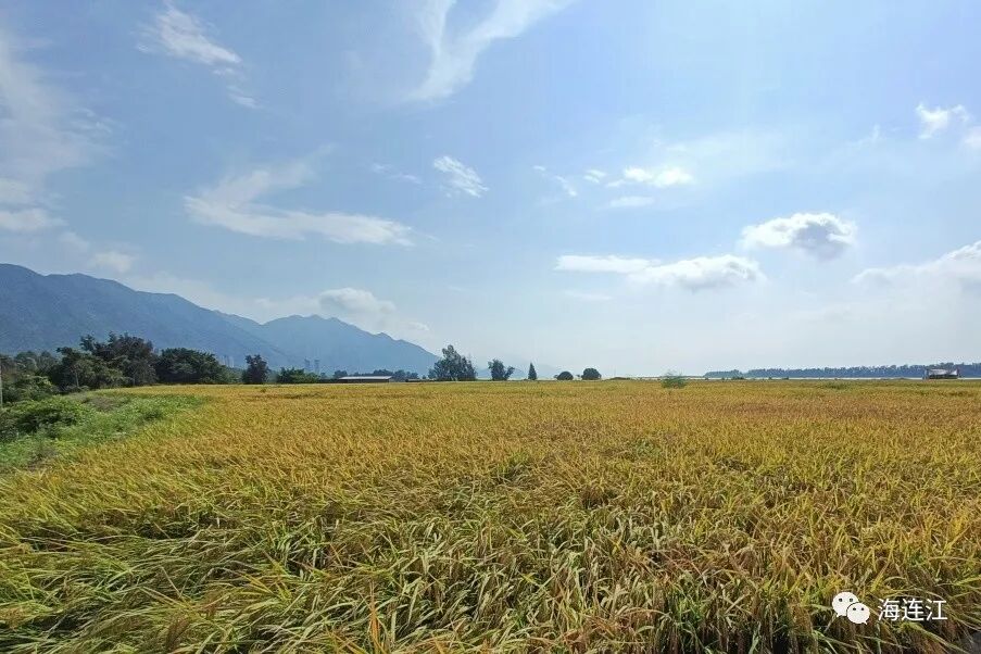 做好“加减”法，连江全力推动土地综合整治！