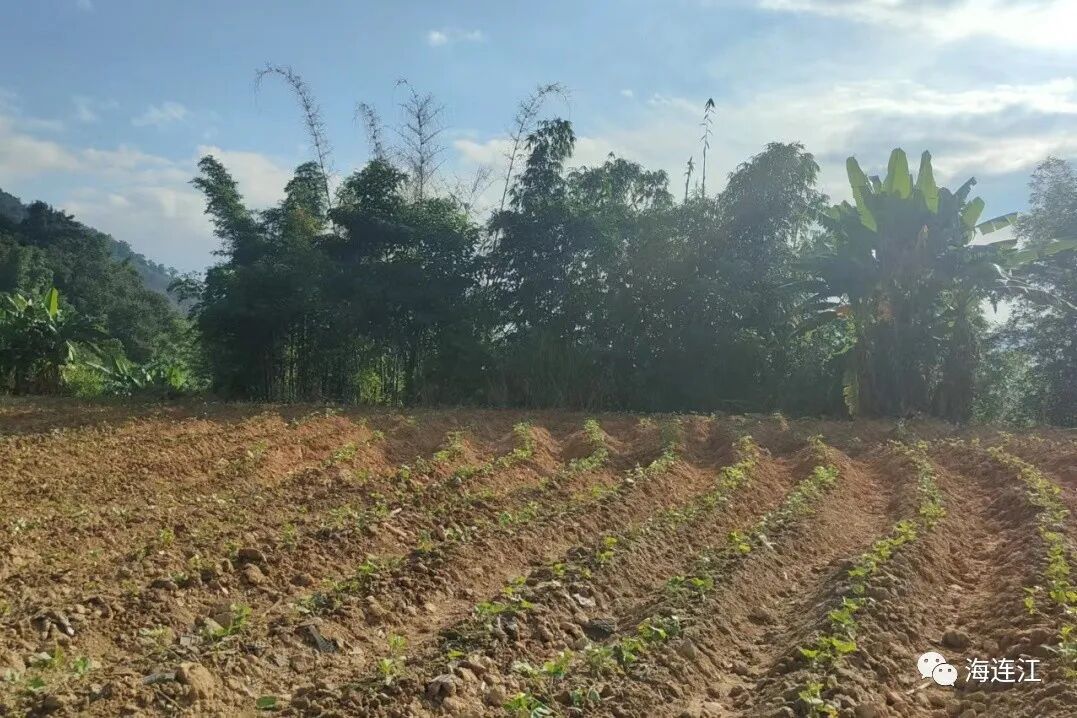做好“加减”法，连江全力推动土地综合整治！