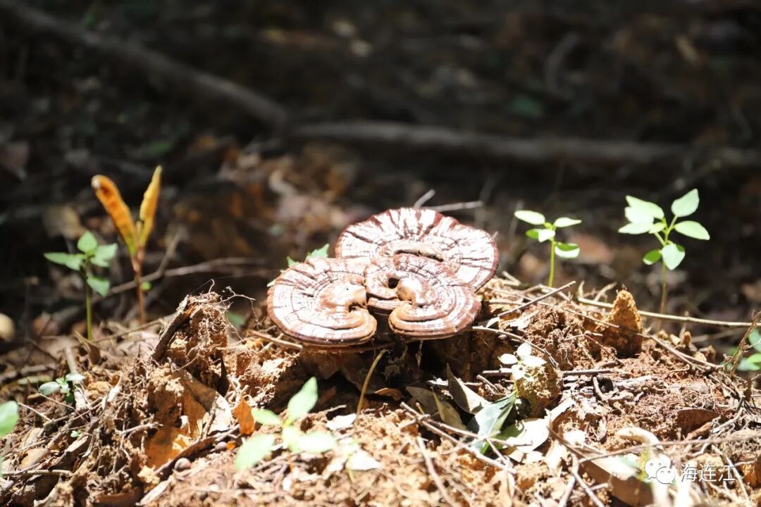 美在连江！这里幸福感爆棚！